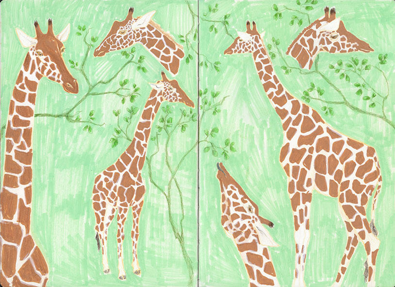 Giraffe drawn in the Zürich Zoo. Technique: Acrylic Marker, colored pencils