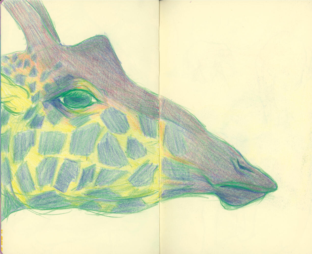 Untitled Untitled